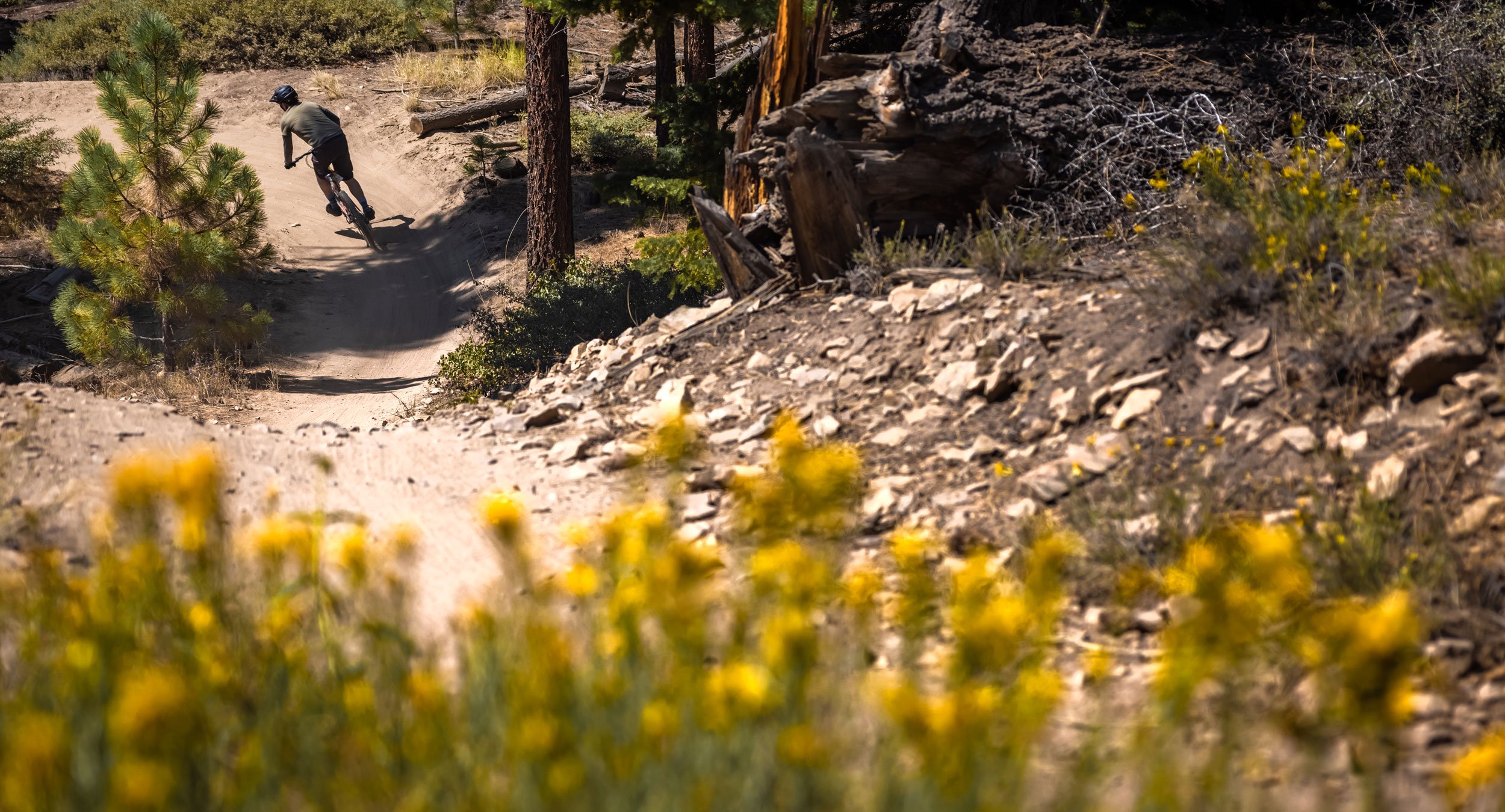 Mountain biker riding on a dirt trail with yellow flowers
